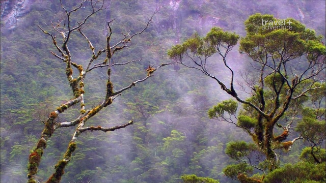 7 смотреть онлайн