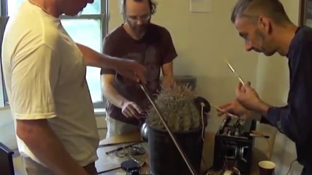 Amplified Cactus (Improvisation on "Child of Tree" by John Cage) смотреть онлайн