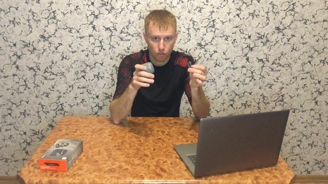 Беспроводные наушники JBL 225TWS вкладыши - Обзор отзыв смотреть онлайн