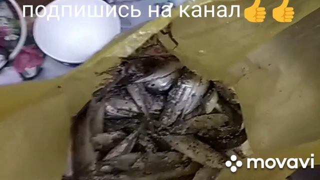 Блюдо.Ставрида по евпаторийски,жаренная,к пиву??✌️✌️?? смотреть онлайн