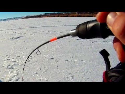 ЧУТЬ НЕ УЕХАЛИ! ЧУЙКА КОРЕЙЦА СРАБОТАЛА!!! РЫБАЛКА НА СУДАКА 2023 смотреть онлайн