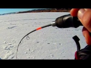 ЧУТЬ НЕ УЕХАЛИ! ЧУЙКА КОРЕЙЦА СРАБОТАЛА!!! РЫБАЛКА НА СУДАКА 2023