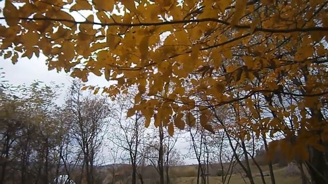 Падайте, листья... смотреть онлайн