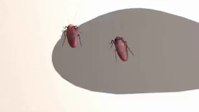 Великий Воин гель от тараканов смотреть онлайн