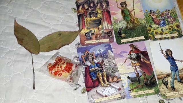 Pick-a-Card: Message from Your True Love!!! (w/fortune cookie surprise!) смотреть онлайн