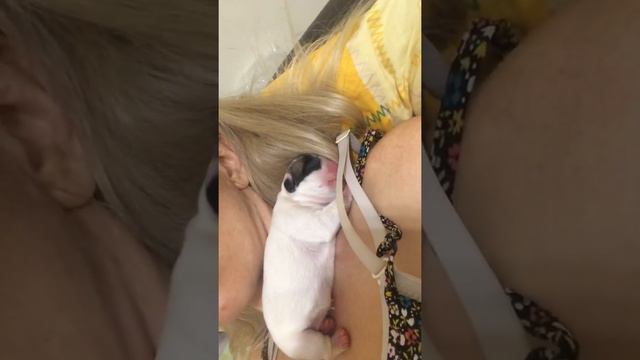 Я родился! смотреть онлайн