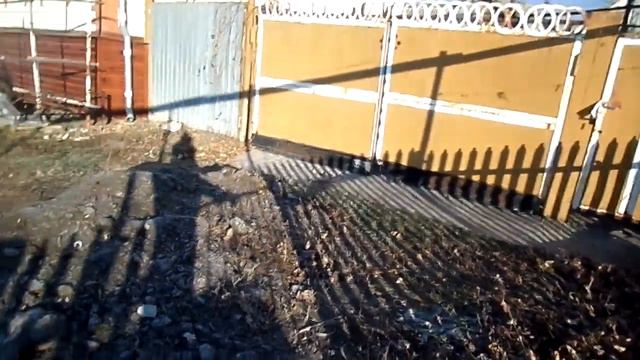 мой кот том часть 1 смотреть онлайн