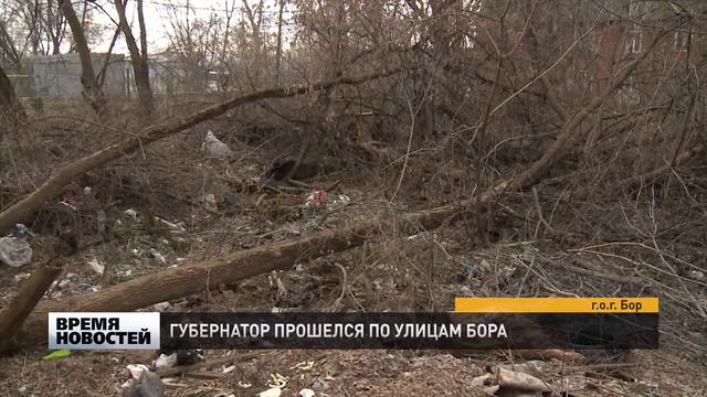 Губернатор региона прогулялся по Бору смотреть онлайн