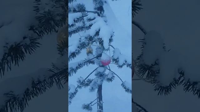 Предновогодняя поездка на дачу друзей. Кица. Мурманская область. смотреть онлайн
