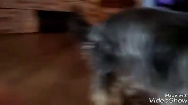 Как изменить цвет в слайме если он помутнел))) смотреть онлайн