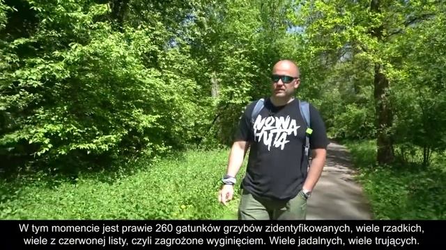 Nowohucka Kronika Filmowa nr 670 – V/2021 – o grzybach w Nowej Hucie. смотреть онлайн
