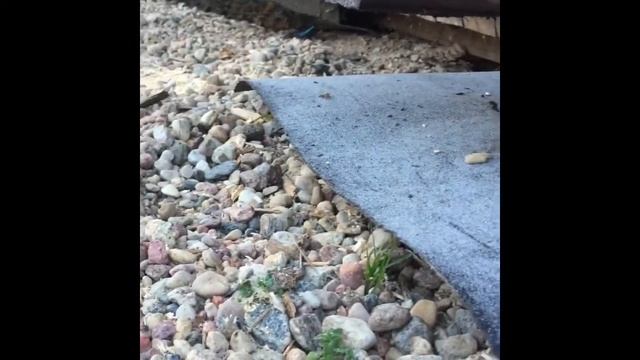 Замена гнилых подрубов беседки смотреть онлайн