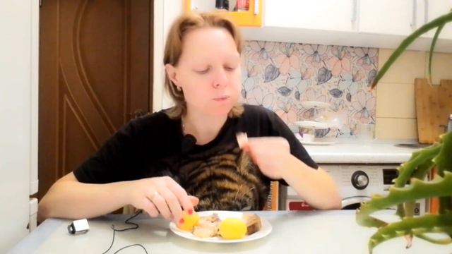 Чавканье четко слышно👌 мукбанг идет как положено😜