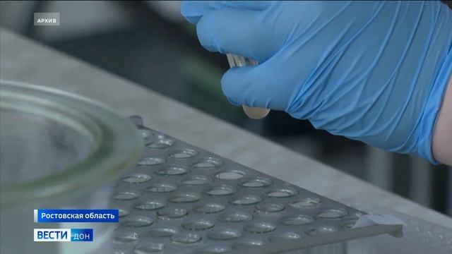 Африканская чума свиней выявлена в Кагальницком районе Ростовской области смотреть онлайн