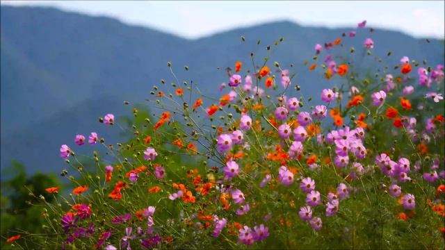 Не бойтесь своего Величия. Елена Ушанкова. Обратная связь участнику коучинга Распаковка Личности. смотреть онлайн