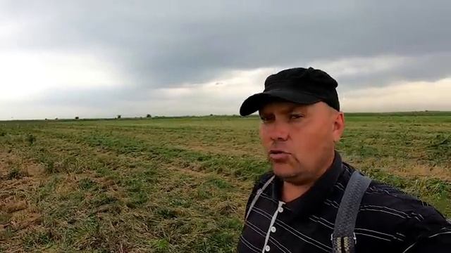 Когда нет связи в поле... смотреть онлайн