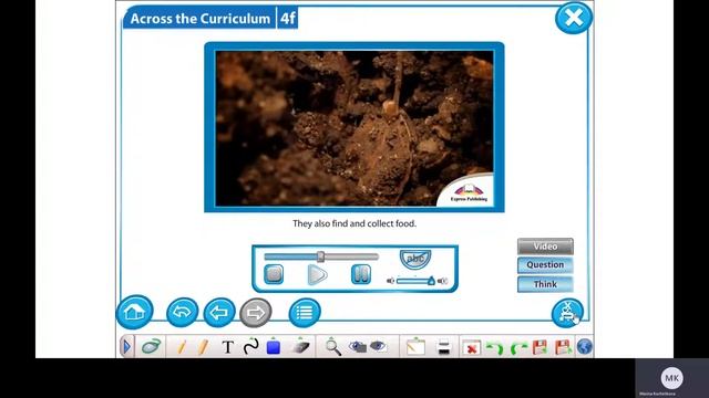 Excel 5 Module 4 ex 1 p 54 Amzing ants Video смотреть онлайн
