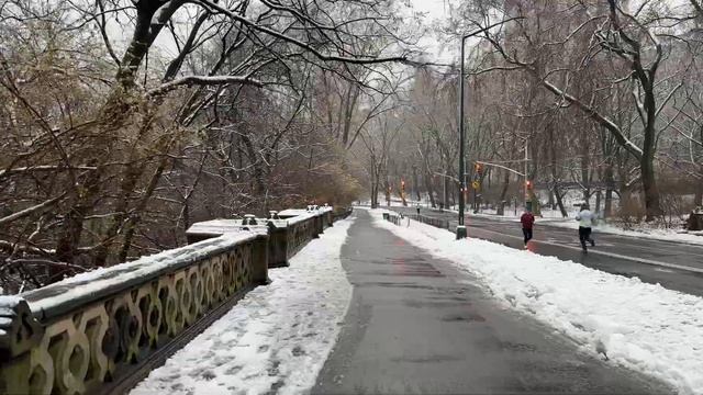 Snowfall In Central Park, New York City, Relaxing Winter Walk