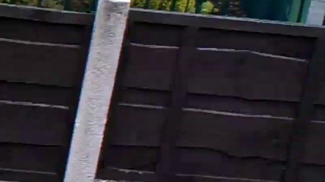 Honda CRM250R little ride up the road. смотреть онлайн