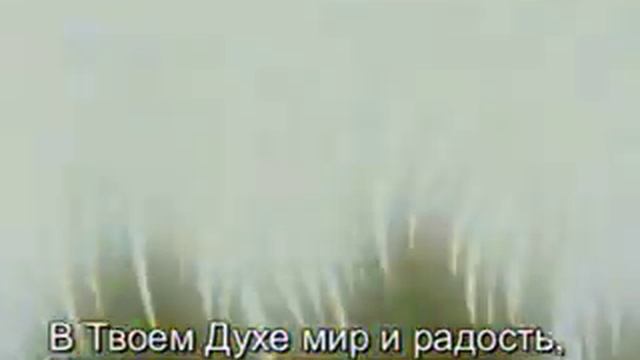 Христианское караоке - Опускаясь на колени смотреть онлайн