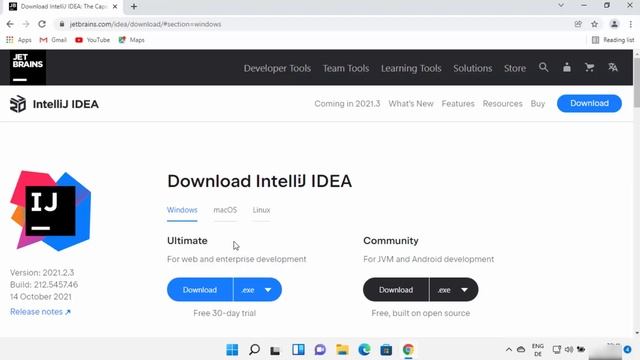 How to Install IntelliJ IDEA with Java 17 on Windows 11 смотреть онлайн