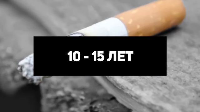 Сколько времени требуется пластику для разложения? смотреть онлайн