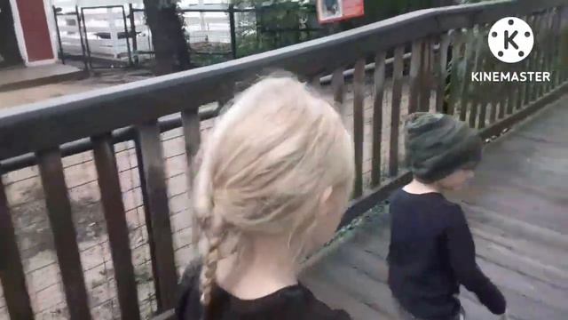 США VLOG: 20-летие Джулиетт/Мимозы для мам/Именины в зоопарке/Динозавры/Хибачи - 28 и 29 июля 2022 смотреть онлайн