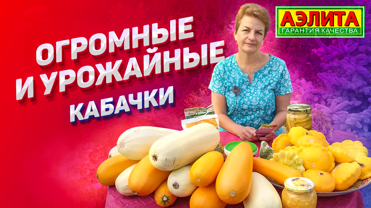 Как нам удалось вырастить ТАКИЕ КРУПНЫЕ КАБАЧКИ смотреть онлайн