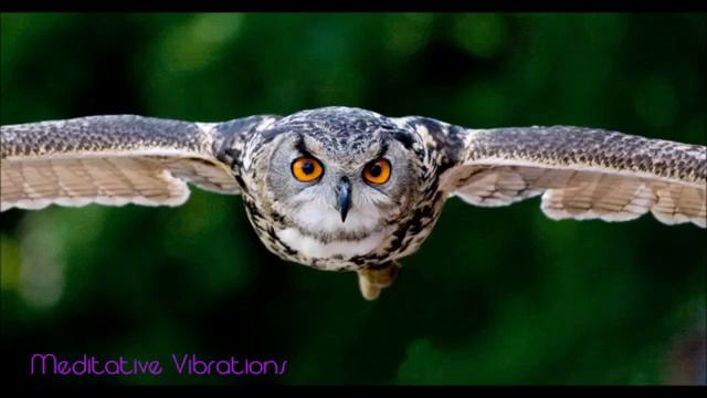 Native Music with flutes and drums, relaxing, meditation, natural, flute, native drums смотреть онлайн