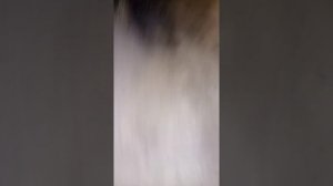 метки ГРМ Фиат Мария