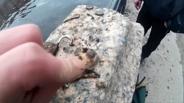 Поисковой магнит ,выловили клад смотреть онлайн