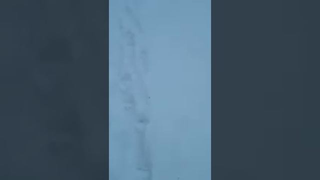 Замостье смотреть онлайн