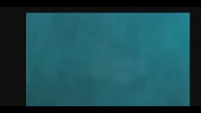 Коты-Воители.Синяя Звезда-О нём! смотреть онлайн