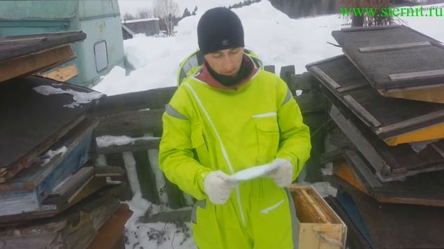 Пчелиная перга смотреть онлайн