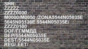 Система представления планов | План полёта | СППИ