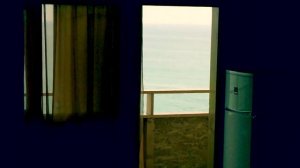 Крым. Приветное. Афалина