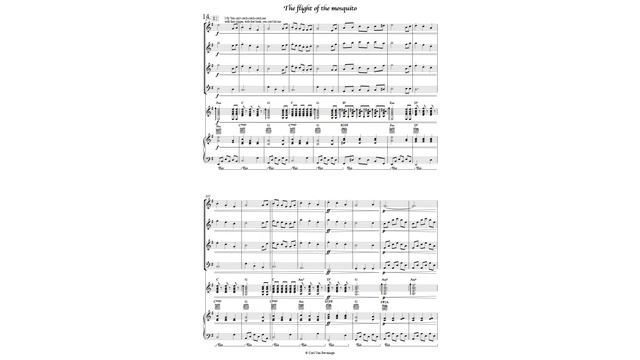 CC000MIX The Flight of the Mosquito for Recorder Quartet Guitar and Piano смотреть онлайн