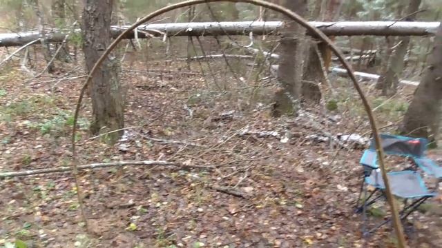 НАБРАЛИ ГРИБОВ В ЛЕСУ! ПОСТРОИЛИ ДОМ! НОЧНОЙ КОСТЁР! КАРТОШКА С МЯСОМ! смотреть онлайн