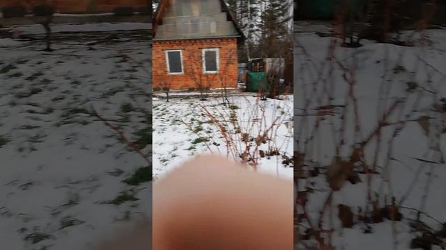 2часть фронта ааа п дедушка смотреть онлайн