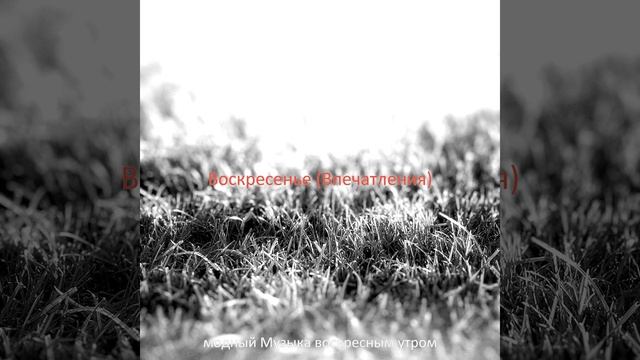 Музыка (Воскресный завтрак)