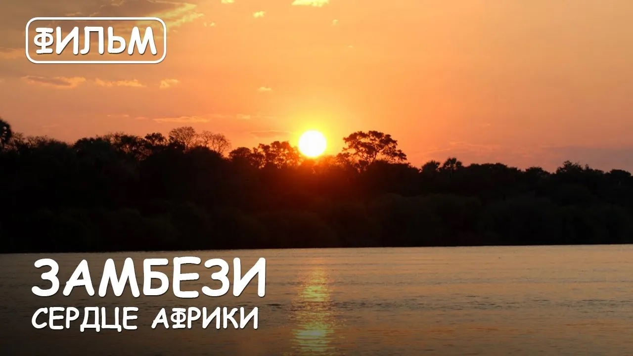 Мир Приключений - Фильм: "Замбези - Сердце Африки". Замбия - Зимбабве. смотреть онлайн