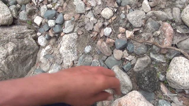 Я так думаю здесь золото должно быть много смотреть онлайн