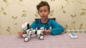 Обзор робота-собаки DIMEI 9007A