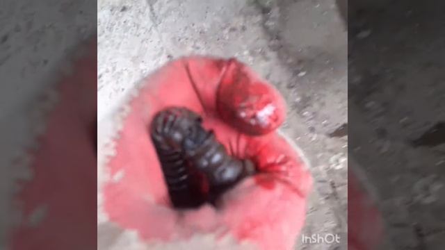 санг йонг кайрон замена заднего тормозного шланга . купил оригинал шланг на кайрон а он не подходи смотреть онлайн