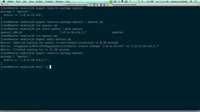 Patching Heartbleed OpenSSL Vulnerability with Puppet Enterprise смотреть онлайн