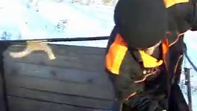сп-15 Приобское месторождение.mp4 смотреть онлайн