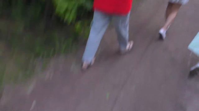 Дача в Выборге (шесть в одном) #13 смотреть онлайн