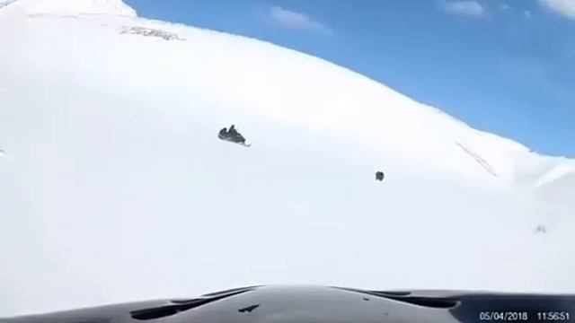 Медведь разорвал человека смотреть онлайн