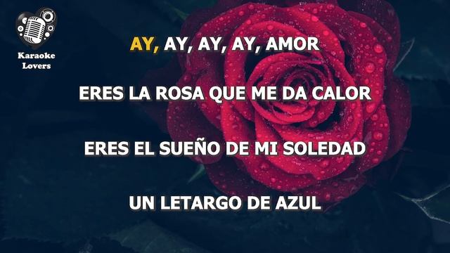 TE REGALO UNA ROSA KAROKA JUAN LUIS GUERRA BACHATA DE AMOR смотреть онлайн