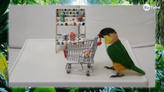 "Попки" жгут смотреть онлайн